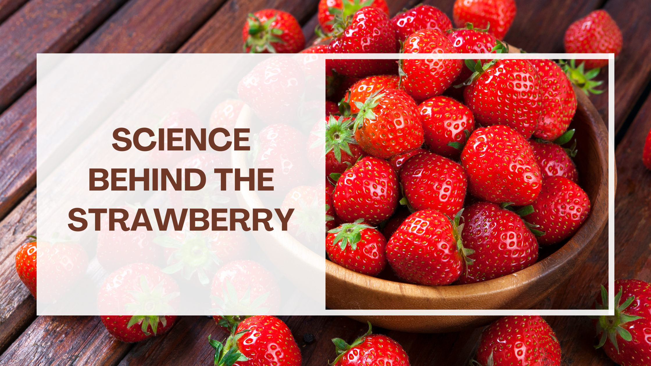 Science Behind the Strawberry
