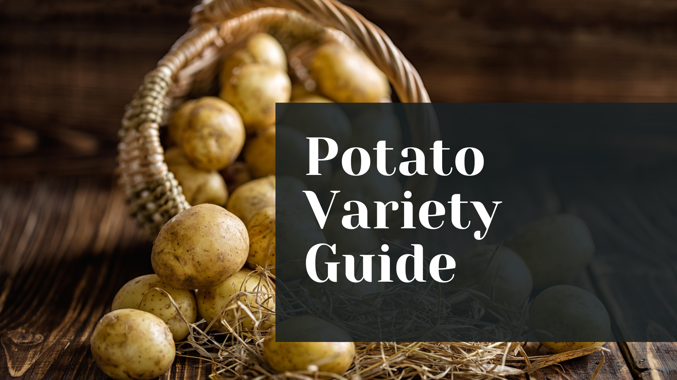 Potato Variety Guide