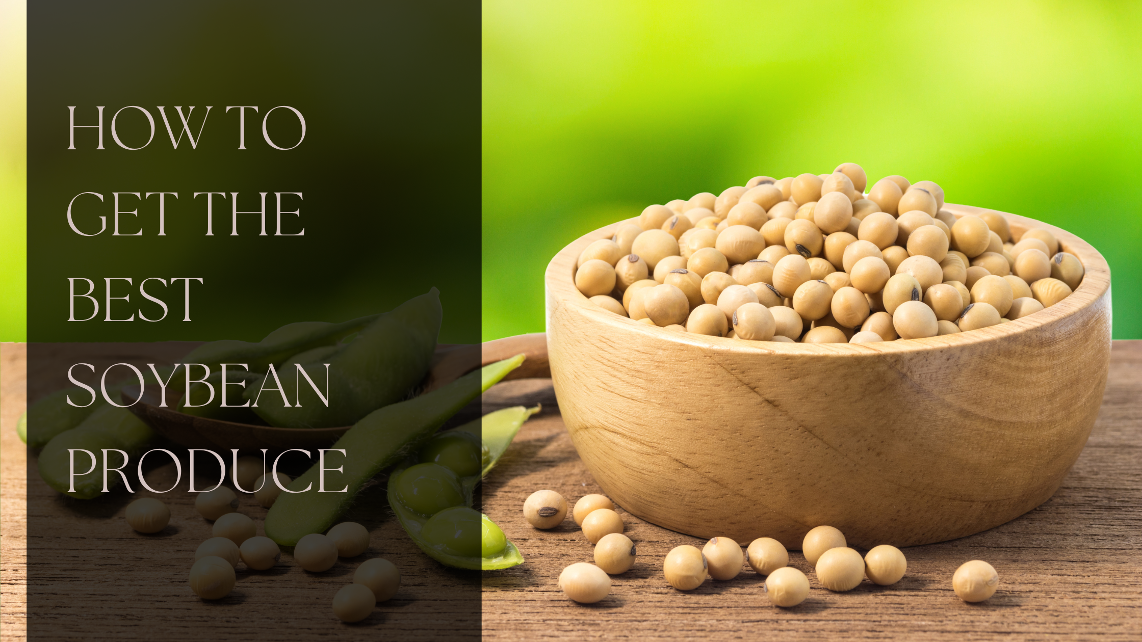How to Get the Best Soybean Produce