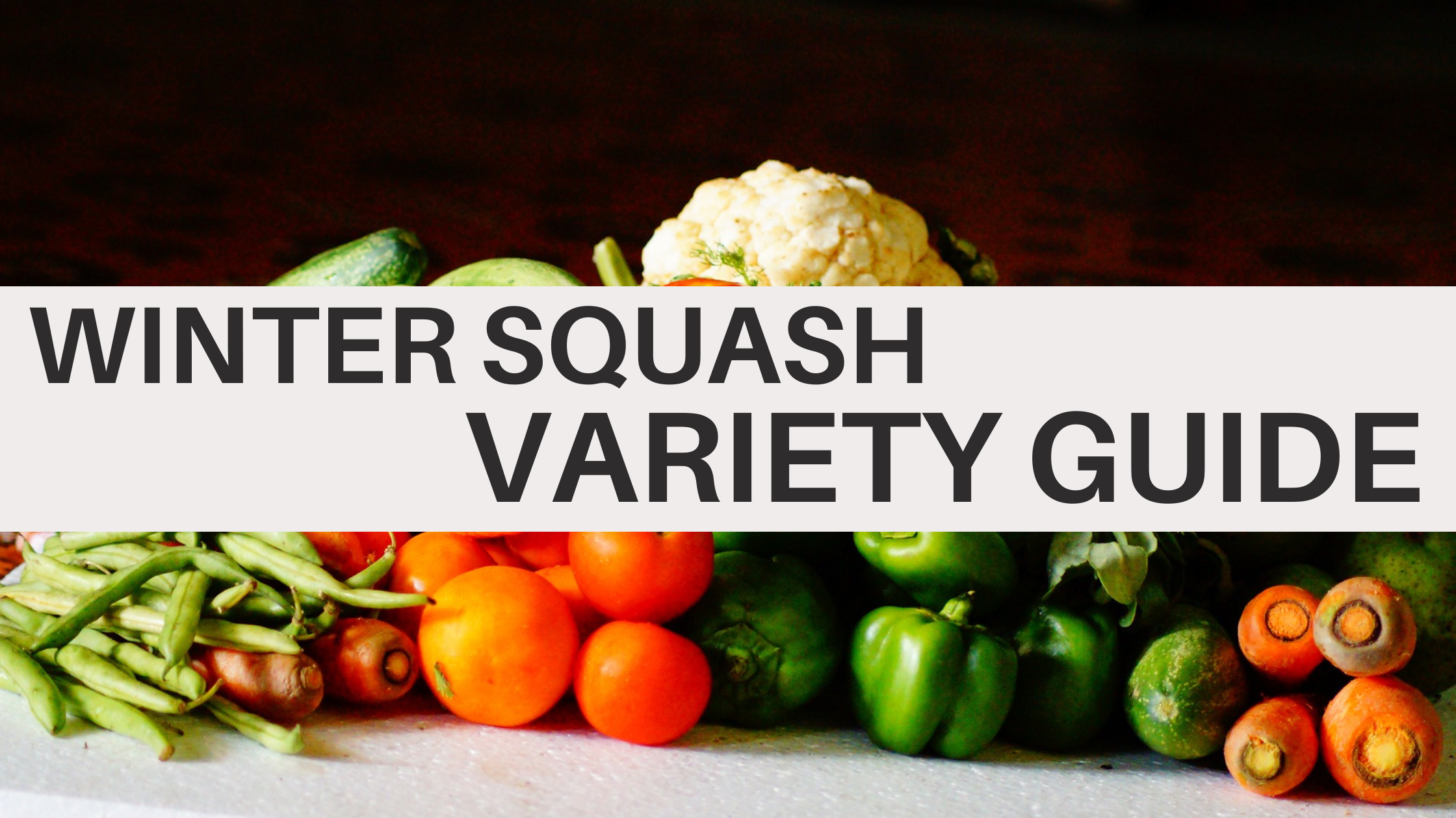 Winter Squash Variety Guide