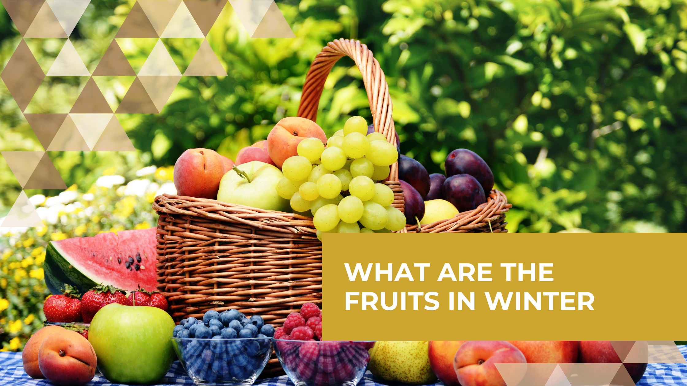 What Are the Fruits in Winter