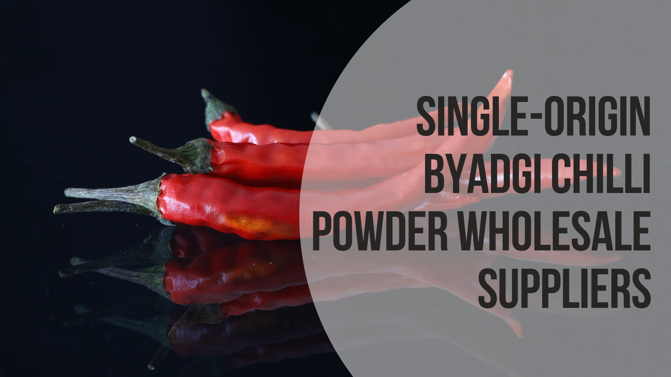 Single-Origin Byadgi Chilli Powder Wholesale Suppliers