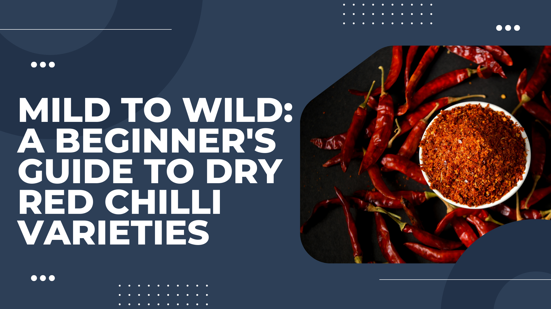 Mild to Wild: A Beginner’s Guide to Dry Red Chilli Varieties
