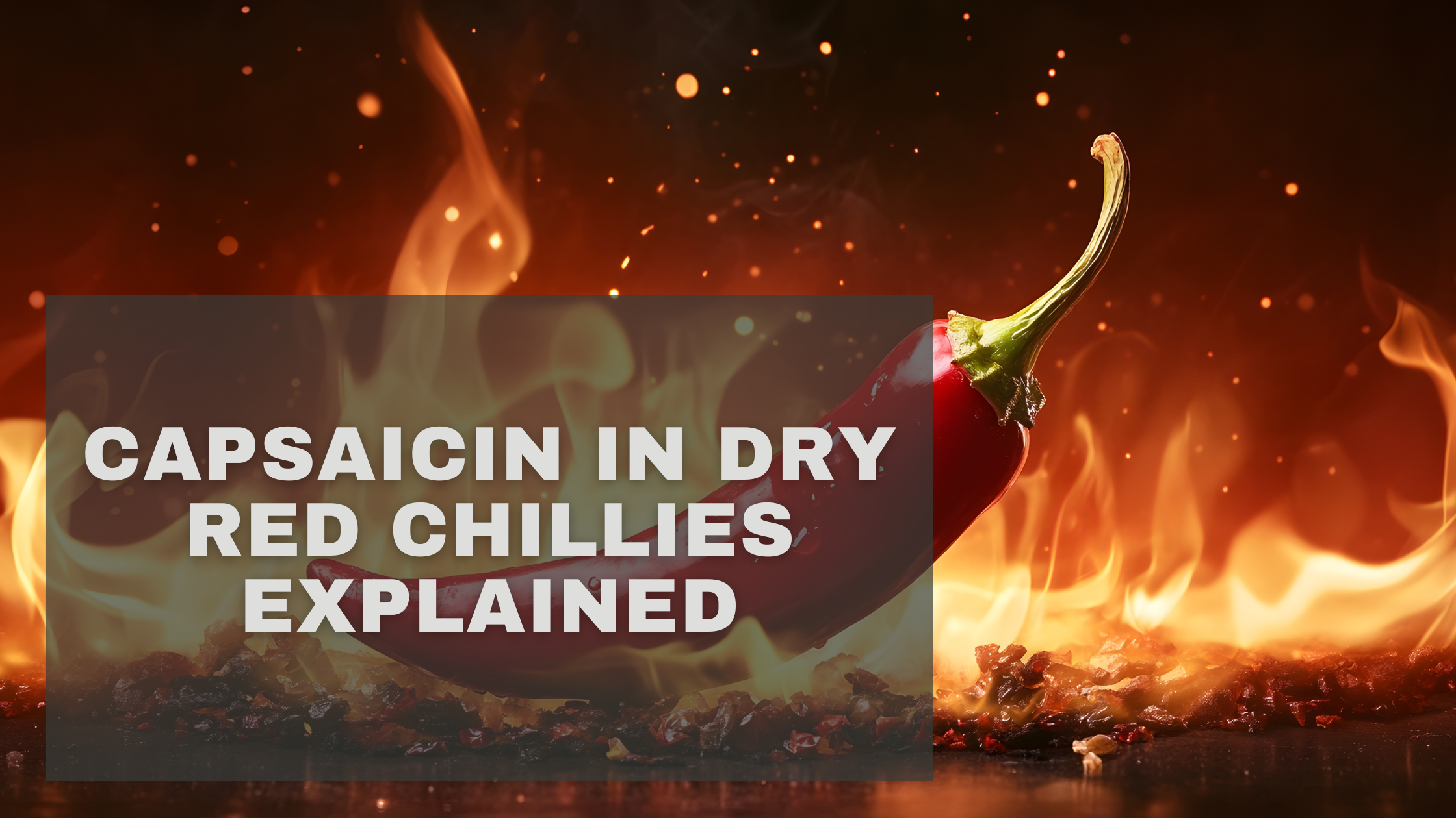 Capsaicin in Dry Red Chillies Explained