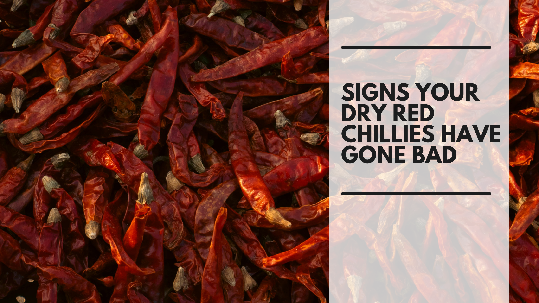 Signs Your Dry Red Chillies Have Gone Bad